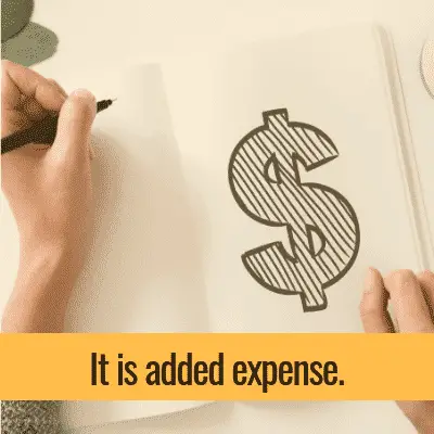 Dollar sign sketch: the essay is an added expense